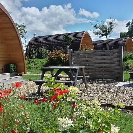 Buttercup Glamping Pod Hotel Cheltenham Eksteriør billede