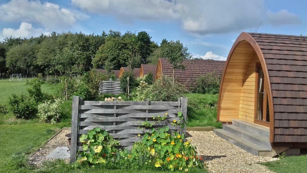 Buttercup Glamping Pod Hotel Cheltenham Eksteriør billede